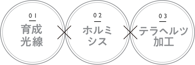 01育成光線 02ホルミシス 03テラヘルツ加工